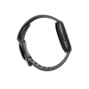 Smart Watch FITBIT Sense 2 Shadow Grey/Graphite