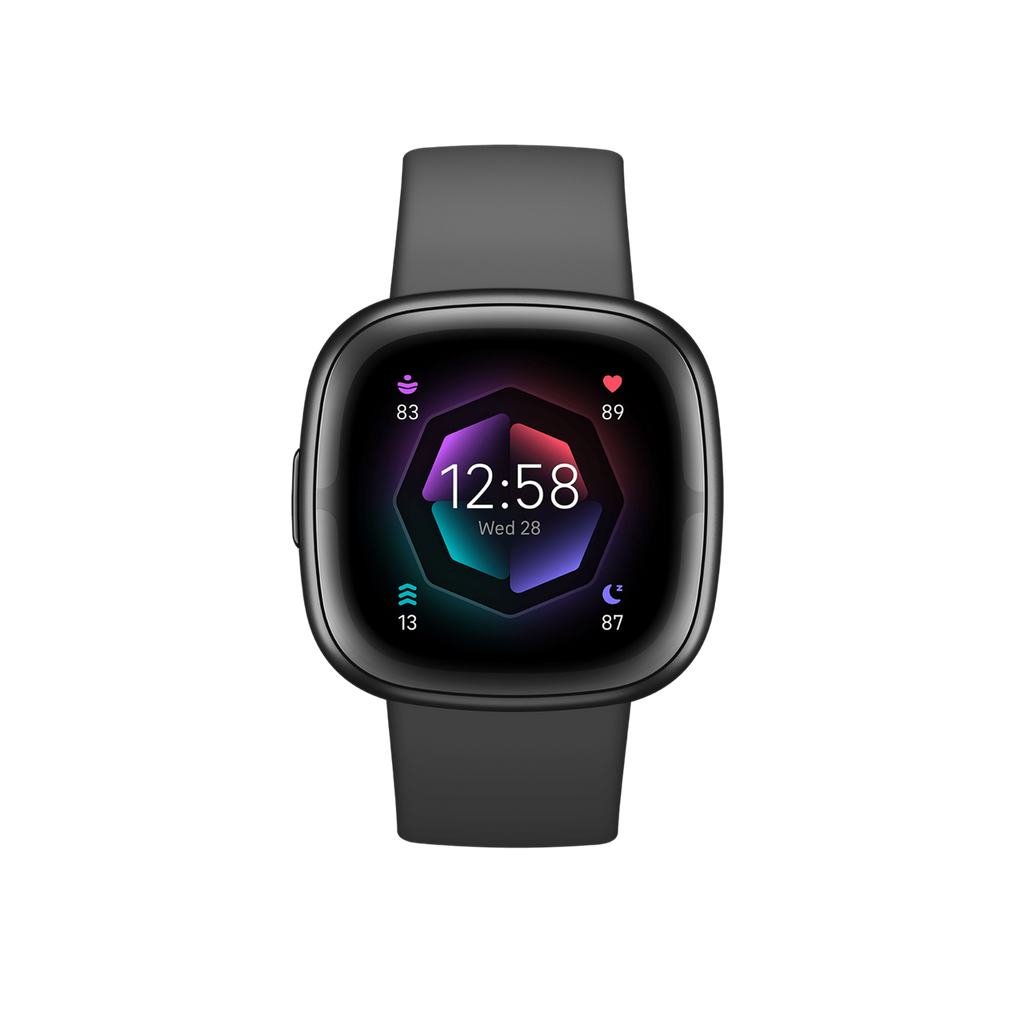 Smart Watch FITBIT Sense 2 Shadow Grey/Graphite