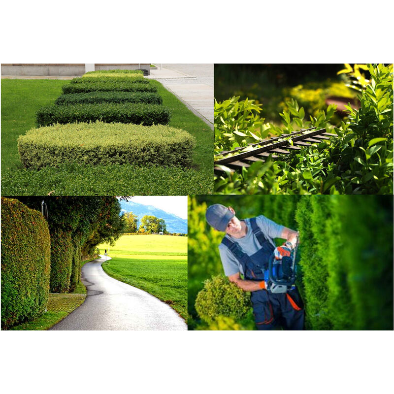 Trimer Elektrik ROYCE 450W