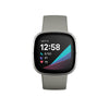 Smart Watch FITBIT Sense Grey/Silver