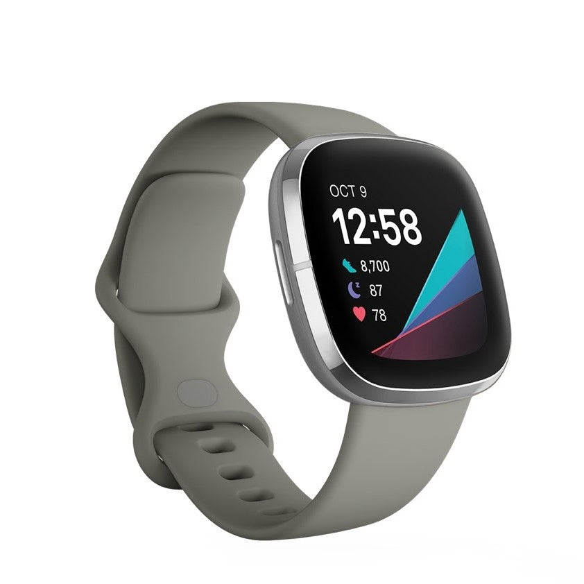 Smart Watch FITBIT Sense Grey/Silver