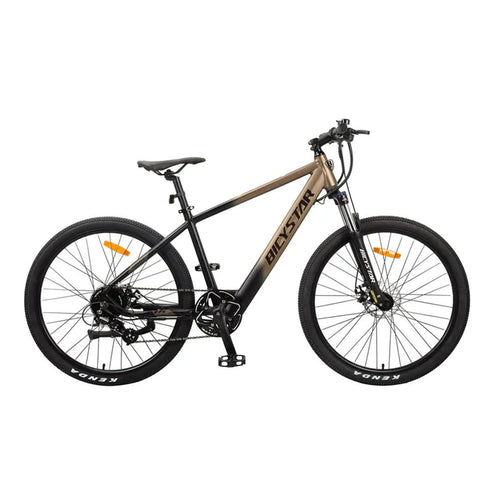 Biçikletë Elektrike BICYSTAR GT-EM100